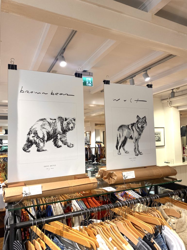 Brown Bear | Art Print - Image 2