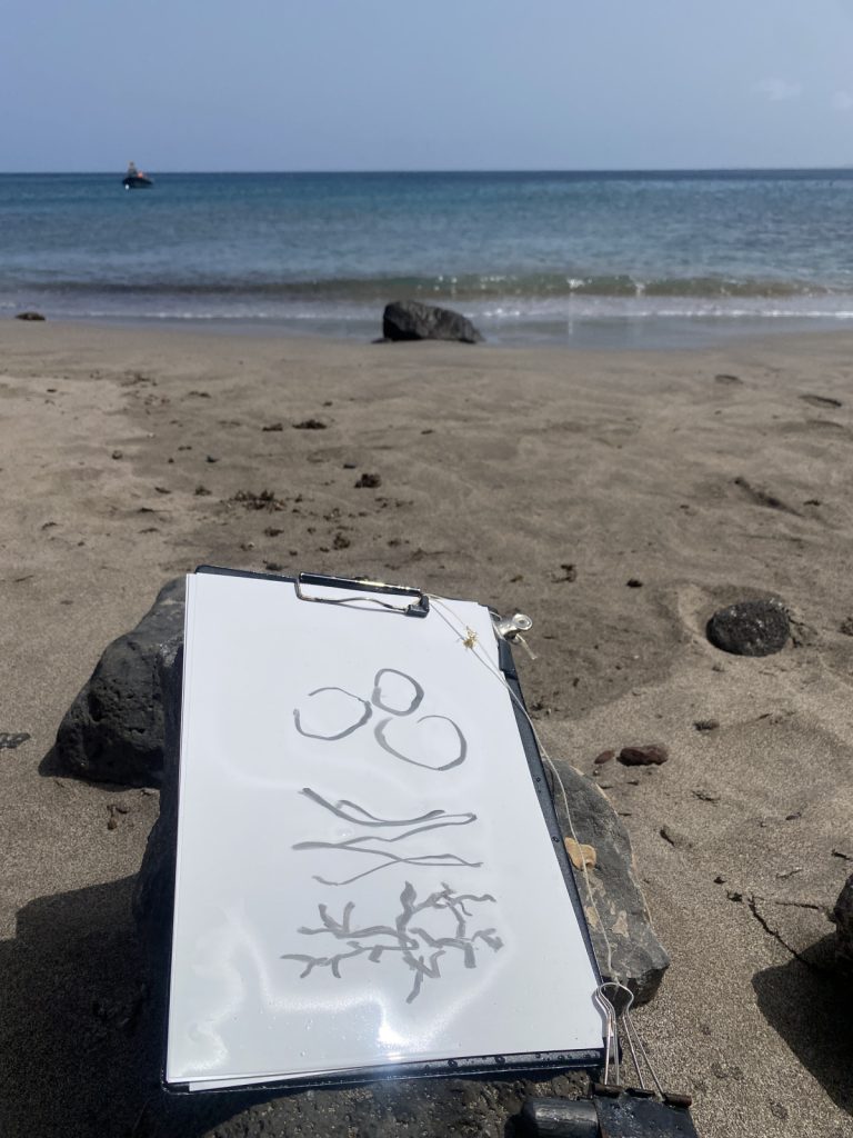 Wet paper on beach after drawing under water