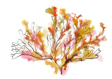 Ocean Blossom Seaweed | Art Print