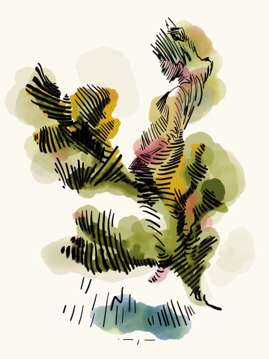 Seaweed | Art Print on Canvas in Frame | Floating in Green