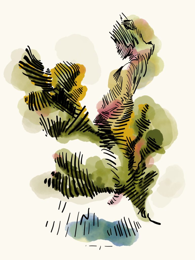 Seaweed | Art Print on Canvas in Frame | Floating in Green