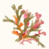 Seaweed | Art Print on Canvas in Frame | Orange Pink & Green