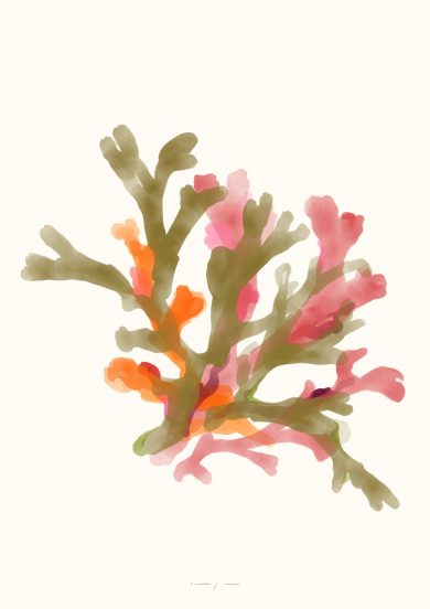 Seaweed | Art Print on Canvas in Frame | Orange Pink & Green