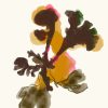 Seaweed | Art Print on Canvas in Frame | Irish Moss