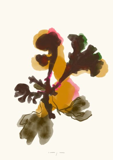 Seaweed | Art Print on Canvas in Frame | Irish Moss