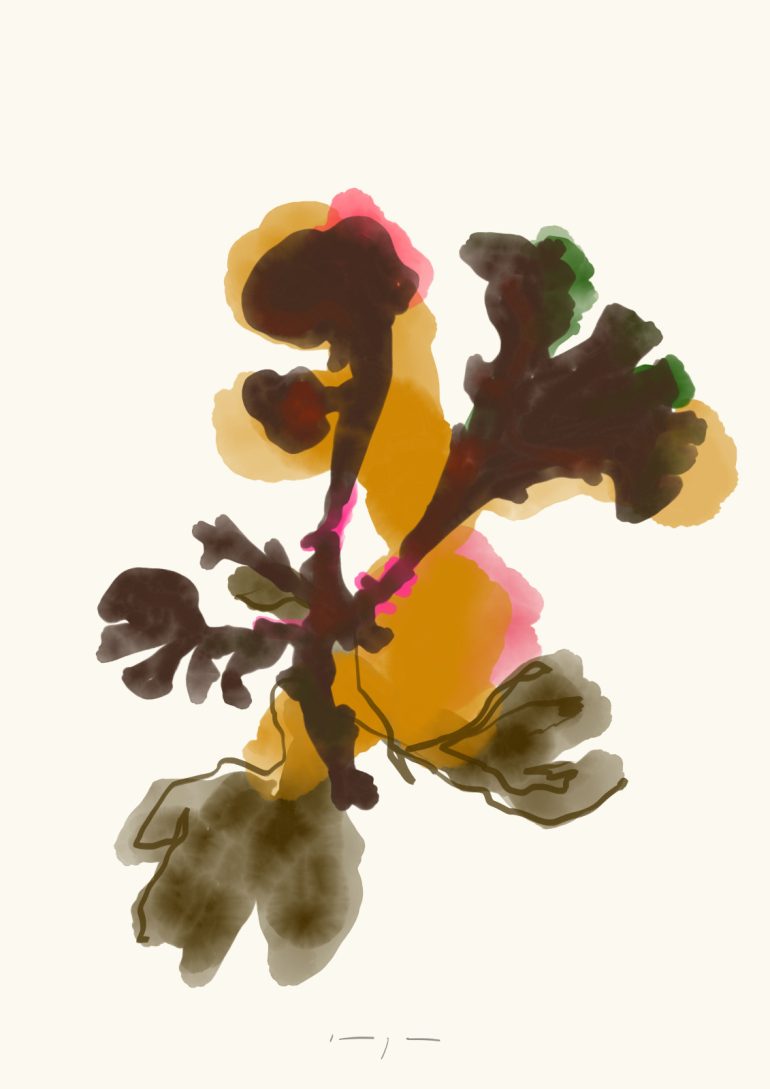 Seaweed | Art Print on Canvas in Frame | Irish Moss