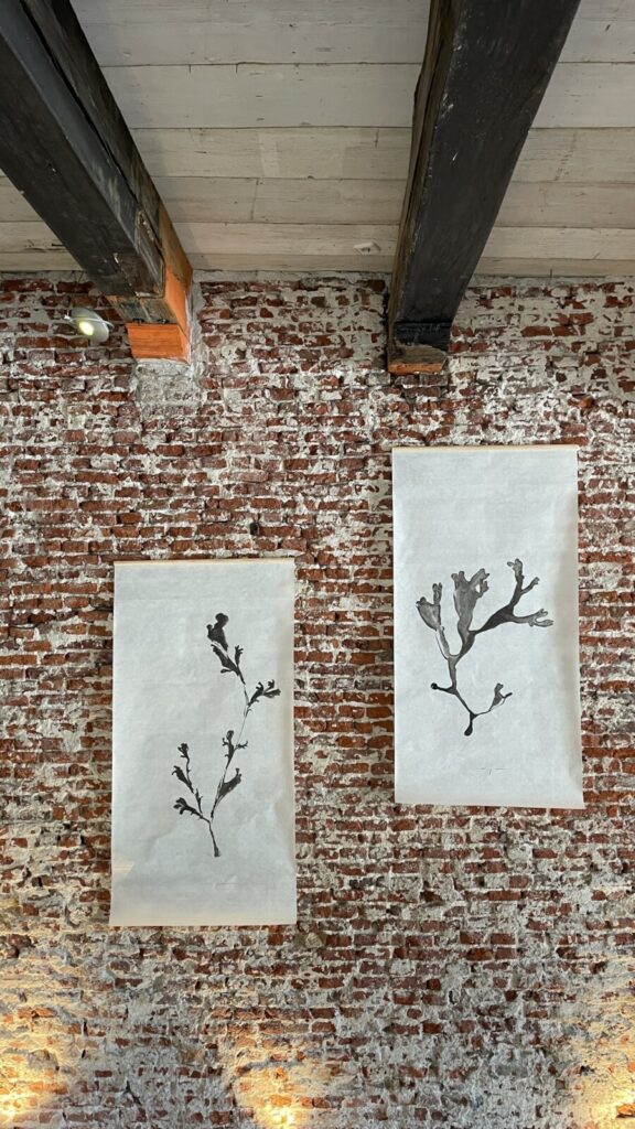 inge koetzier van hooff- zena-rae - gallery yogallery alkmaar