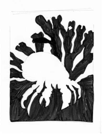 Jameo Crab and Seaweed | Drawing