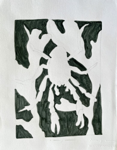 Jameo Crab and Algae | Drawing
