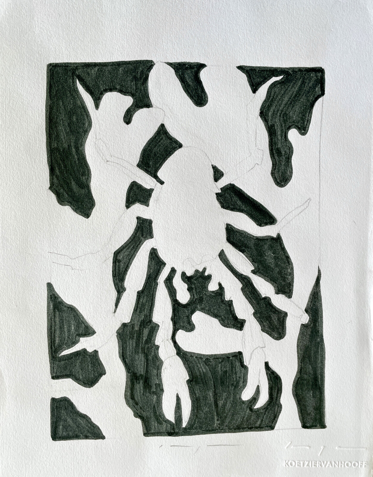 Jameo Crab and Algae | Original drawing