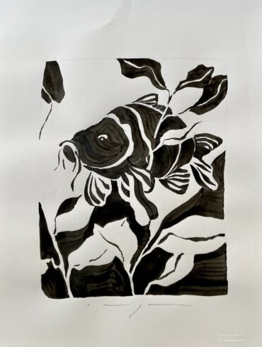 Karper Koos carper fish