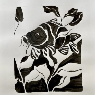 Karper Koos carper fish