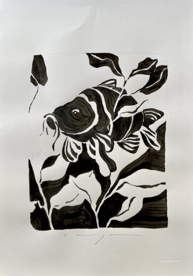 Karper Koos carper fish